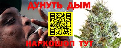 МДПВ Бийск