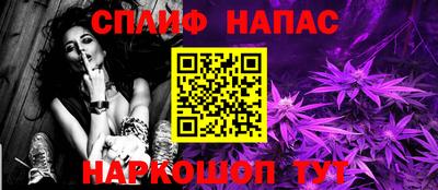 МДПВ Бийск