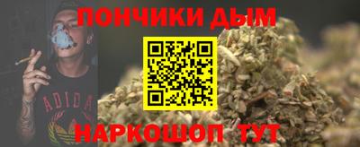 МДПВ Бийск