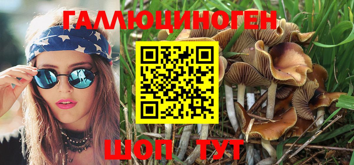Галлюциногенные грибы MAGIC MUSHROOMS  Вход с VPN  Ковров 
